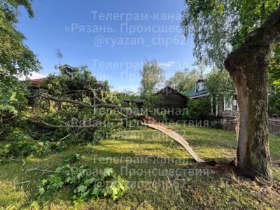 Ураганный ветер сломал деревья в музее-заповеднике Сергея Есенина в Константиново